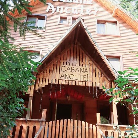 Cabana Ancutei Rucăr المظهر الخارجي الصورة