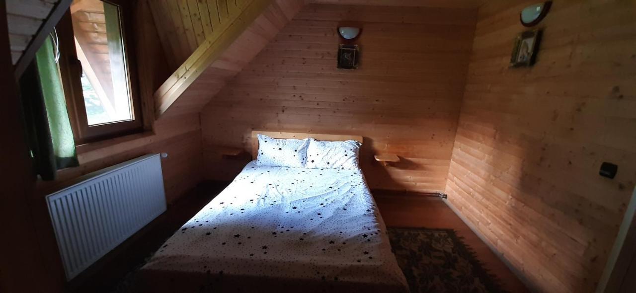 Cabana Ancutei Rucăr المظهر الخارجي الصورة