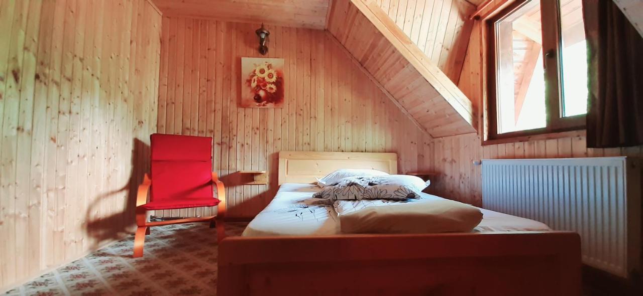 Cabana Ancutei Rucăr المظهر الخارجي الصورة