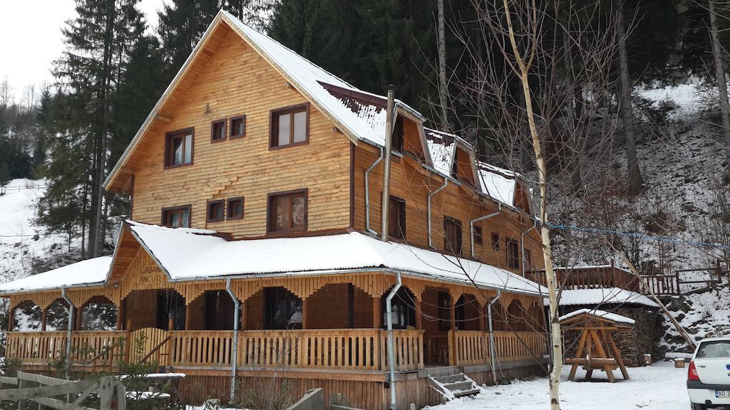 Cabana Ancutei Rucăr المظهر الخارجي الصورة