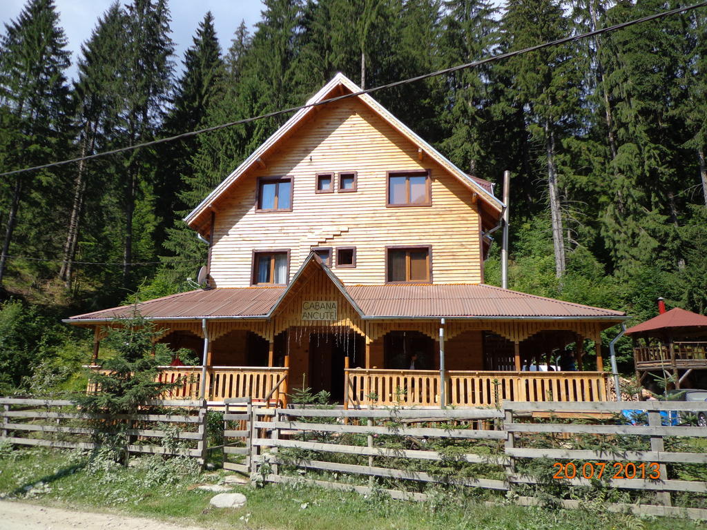 Cabana Ancutei Rucăr المظهر الخارجي الصورة