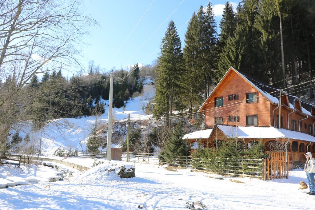 Cabana Ancutei Rucăr المظهر الخارجي الصورة