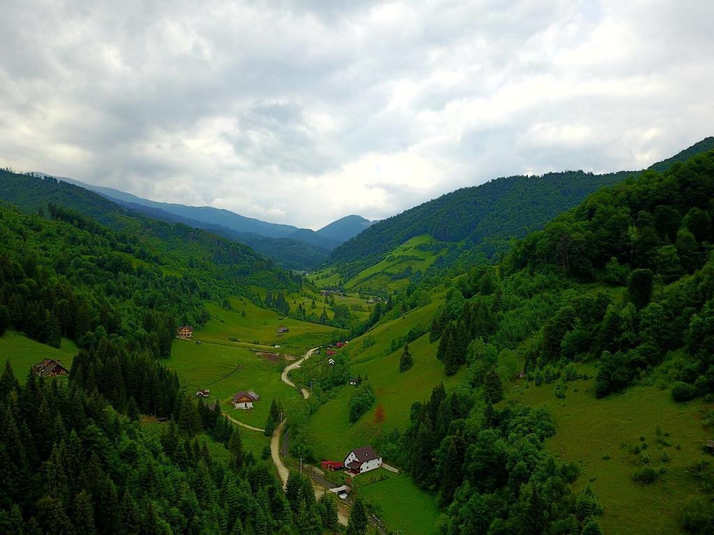 Cabana Ancutei Rucăr المظهر الخارجي الصورة