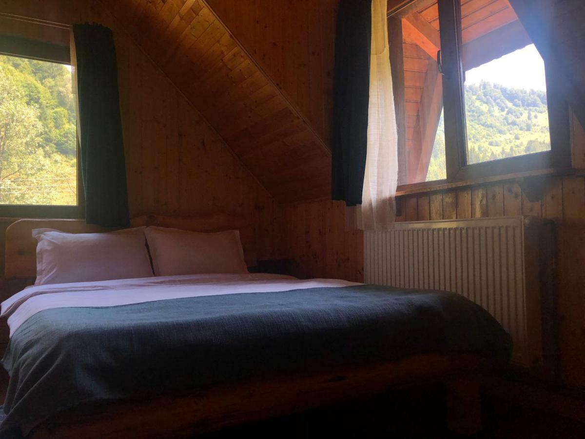 Cabana Ancutei Rucăr المظهر الخارجي الصورة